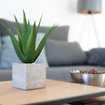 Carica Appartement *