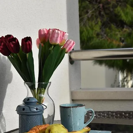 Apartments Villa Carica B&B Apartment Mimice