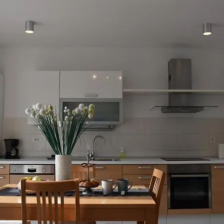 Apartman Carica *