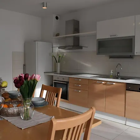 Apartment Apartments Villa Carica B&B